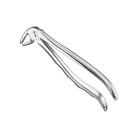 Extracting forceps, anat.